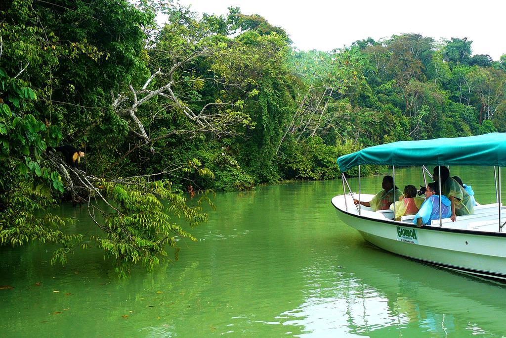 Gamboa Rainforest Reserve المظهر الخارجي الصورة