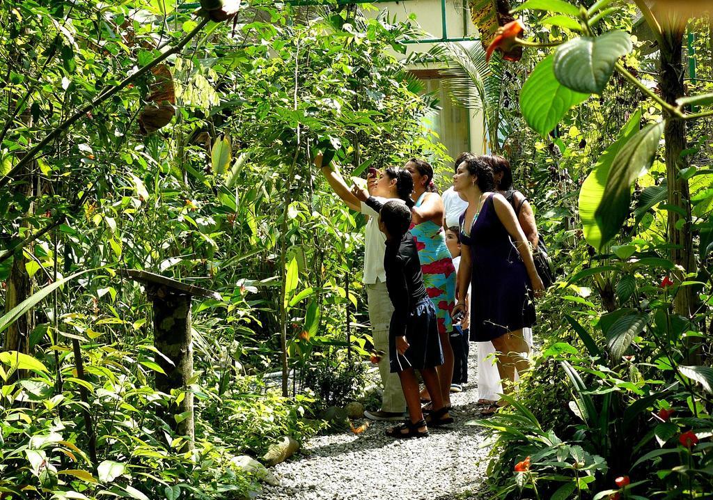 Gamboa Rainforest Reserve المظهر الخارجي الصورة